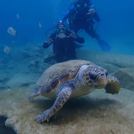 Enosis - Alia House Ferienhaus