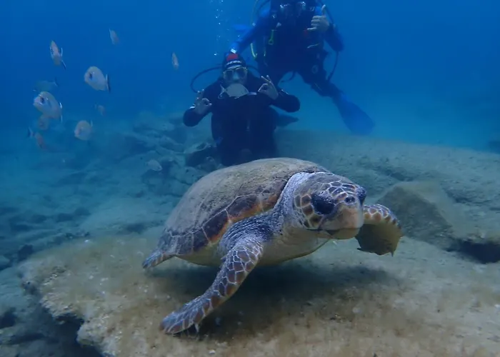 Enosis - Alia House Ferienhaus